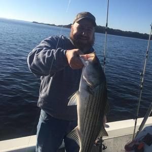 Meet your Posher, Steve